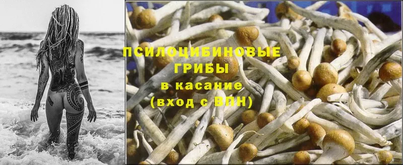 Псилоцибиновые грибы Magic Shrooms  Ржев 